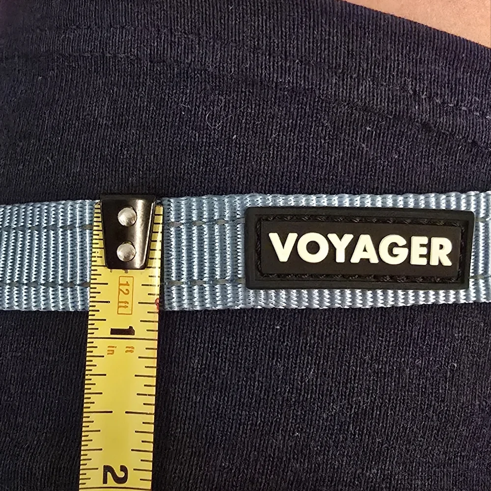 2 Voyager Dog Leashes - Pink And Blue (1206)